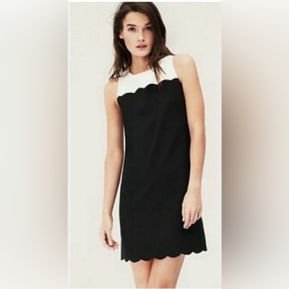 LOFT Black and Cream Scalloped Sheath Dress